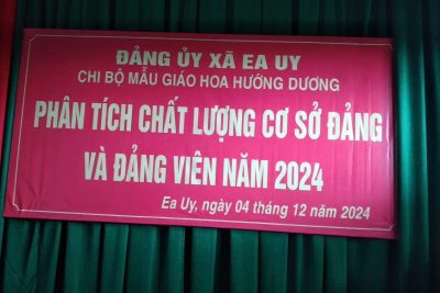 chi bộ mg hoa hướng dương phân tích chất lượng cơ sở Đảng và Đảng viên năm 2024