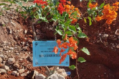 Trường MG Hoa Hướng Dương tham gia lễ phát động hiến tặng các hiện vật trưng bày và trồng cây tại khu di tích lịch sử văn hoá cấp quốc gia Đồn điền Cada